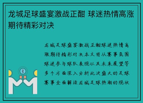 龙城足球盛宴激战正酣 球迷热情高涨期待精彩对决