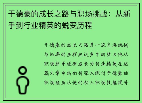 于德豪的成长之路与职场挑战：从新手到行业精英的蜕变历程