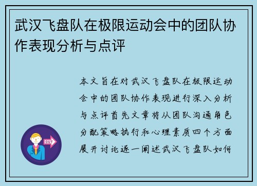 武汉飞盘队在极限运动会中的团队协作表现分析与点评